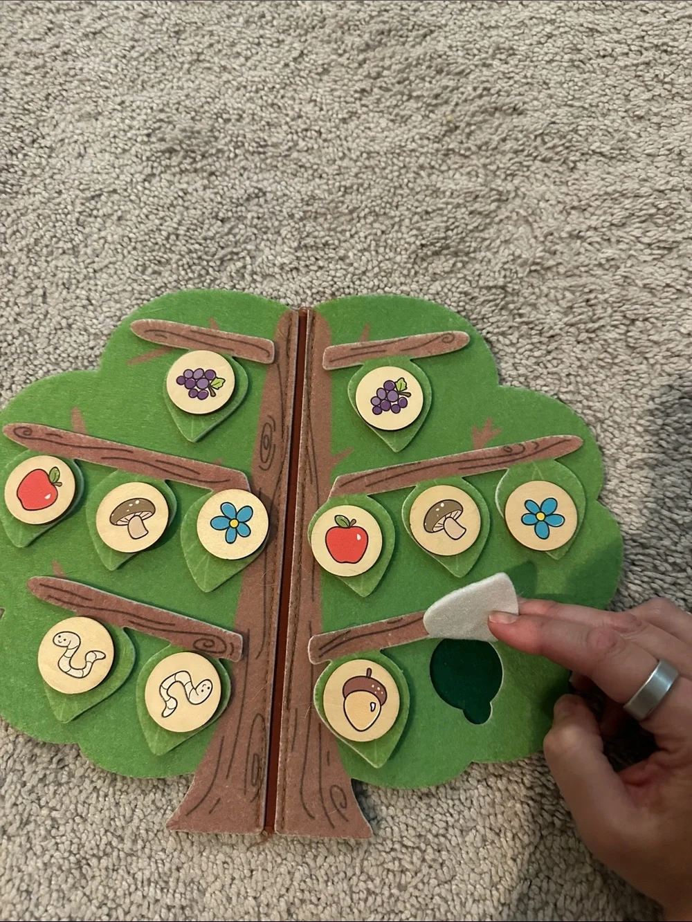 Kids memory game. Wooden Felt Tree Matching Game